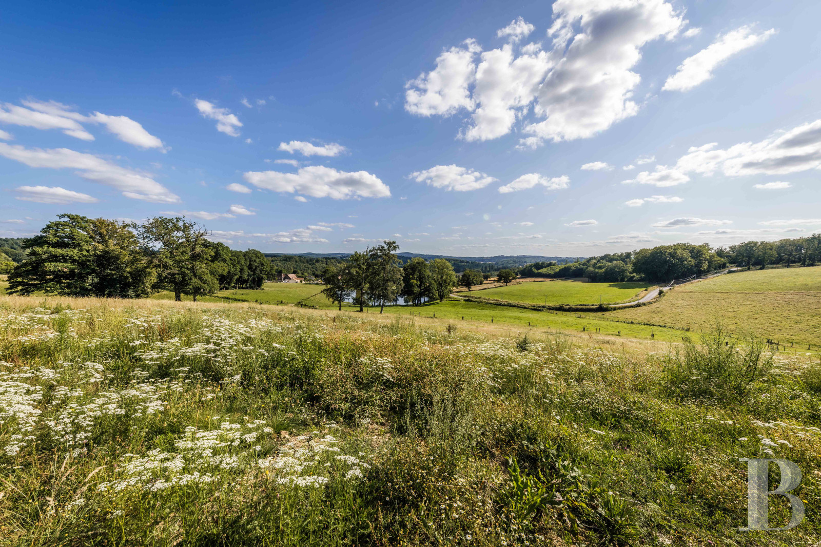 A 19th-century château dominating the surrounding landscape, south of Limoges in Haute-Vienne - photo  n°23